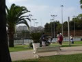 Ecole-de-tennis-Alicante-42